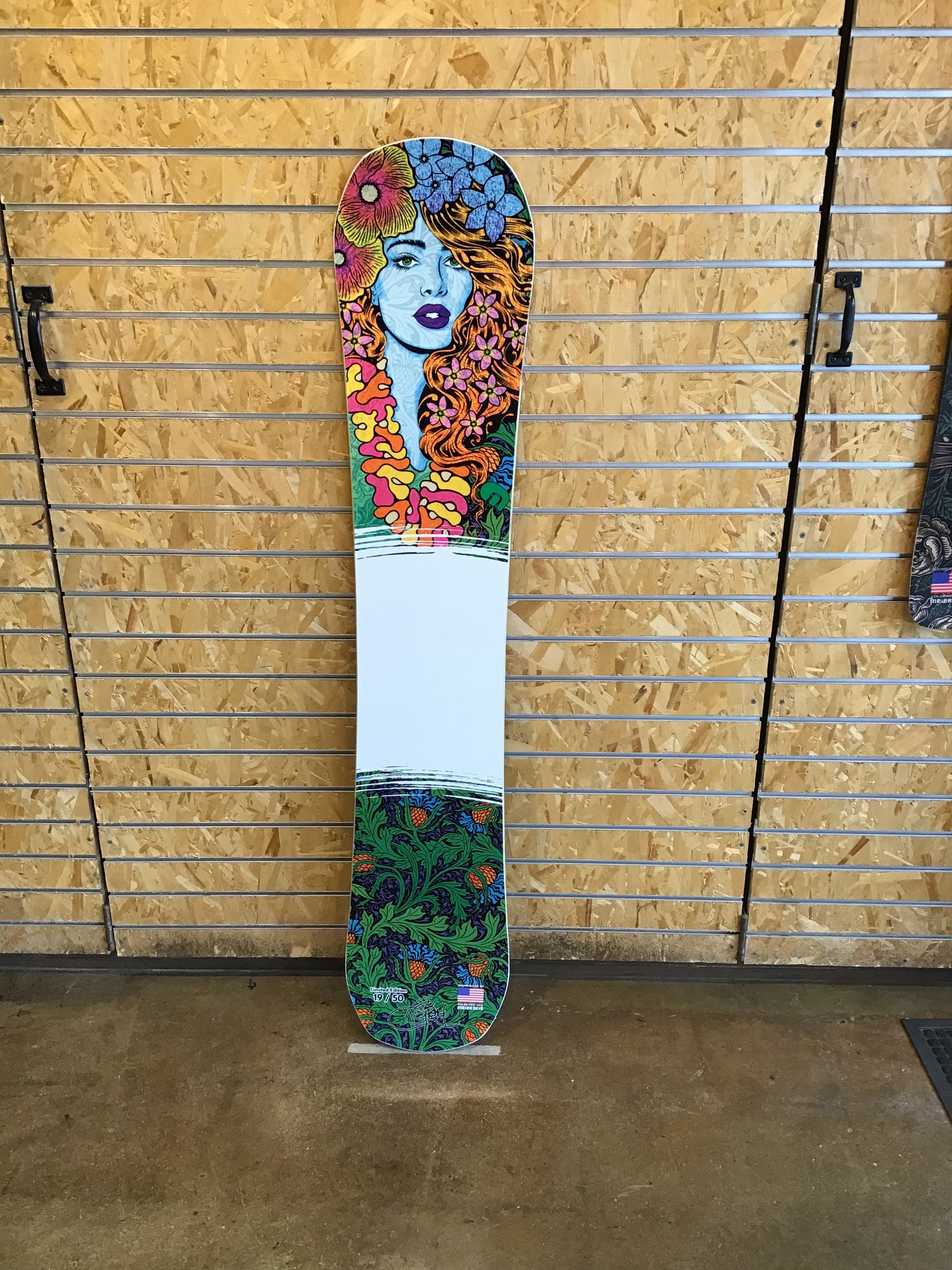 Wall Art Snowboard - Helena Chuck Sperry