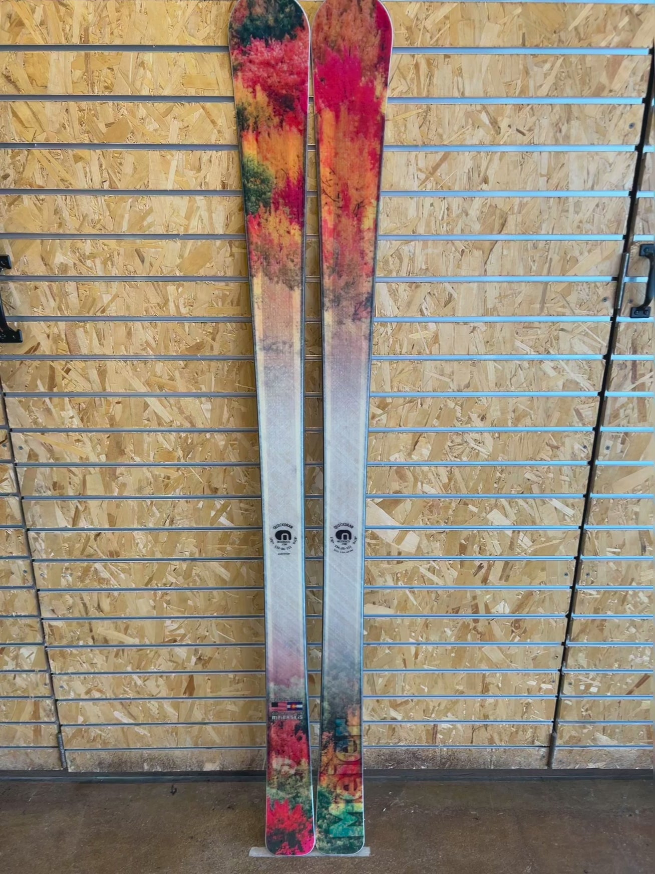 Quickdraw 176 fall colors Graphic (second)