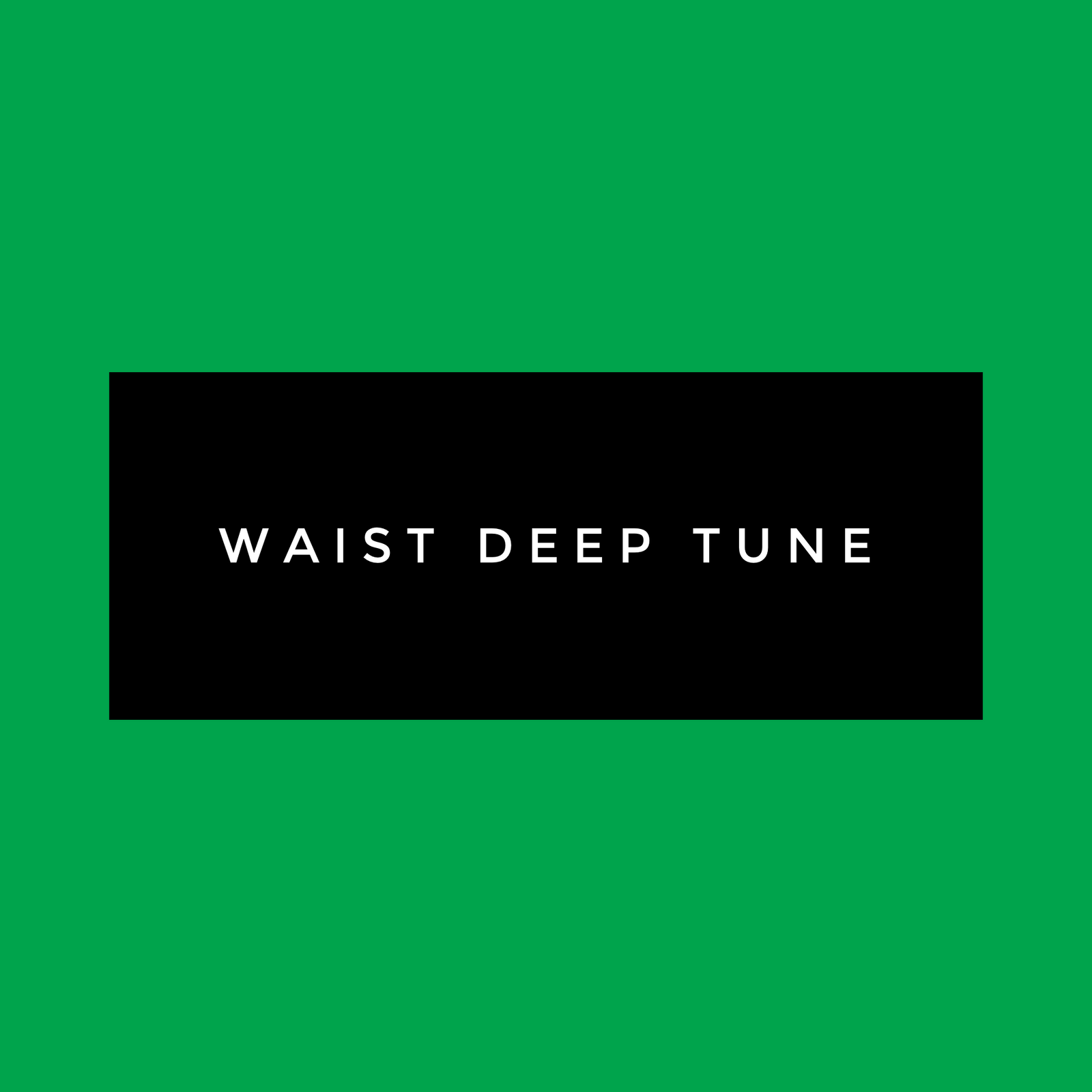 Waist Deep Tune (Like New)