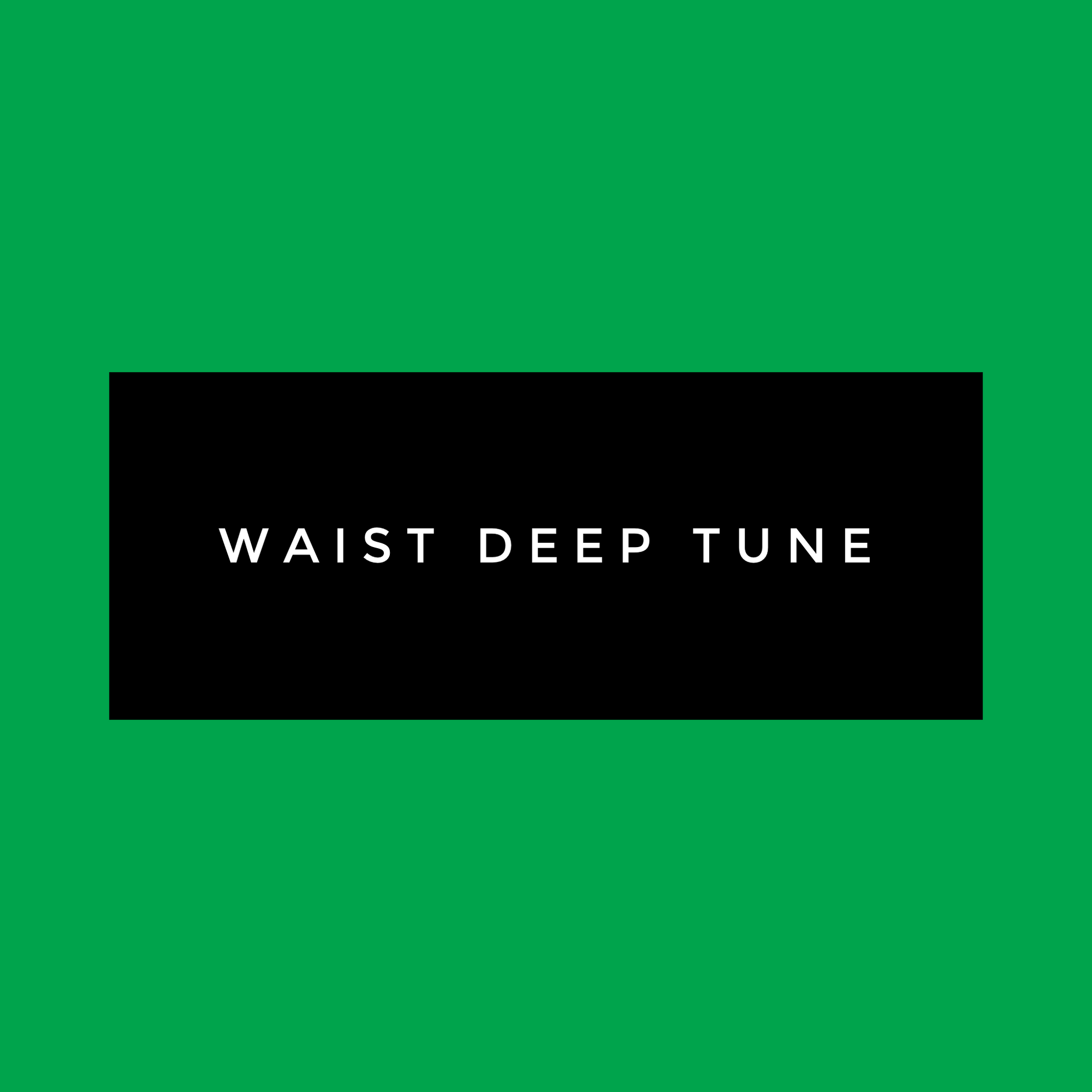 Waist Deep Tune (Like New)